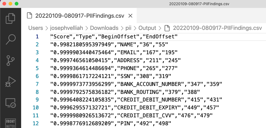 pii-audit-report-data